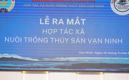 Giới thiệu 